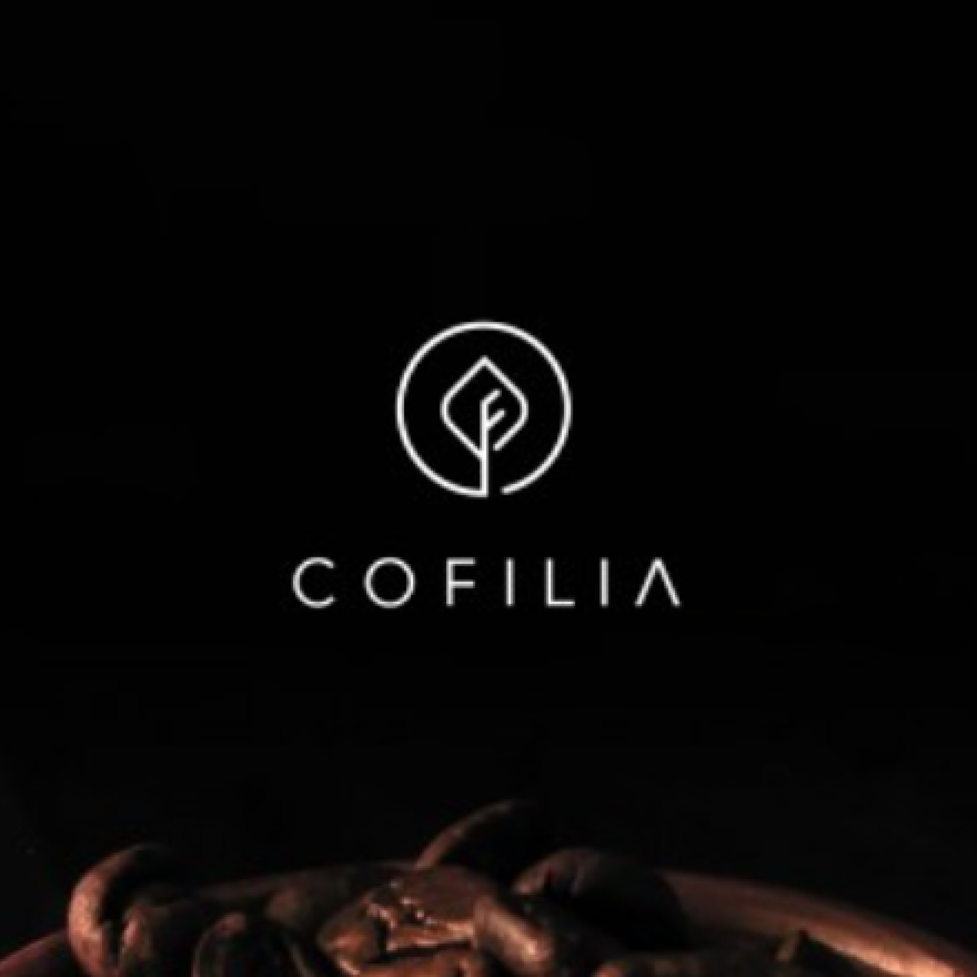 디자인 포트폴리오 COFILIA